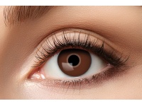 84063141_626-brown-eye