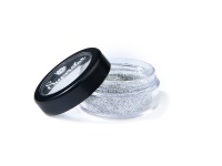 98405_fine_silver_biodegradable_face-_and_bodyglitter_3